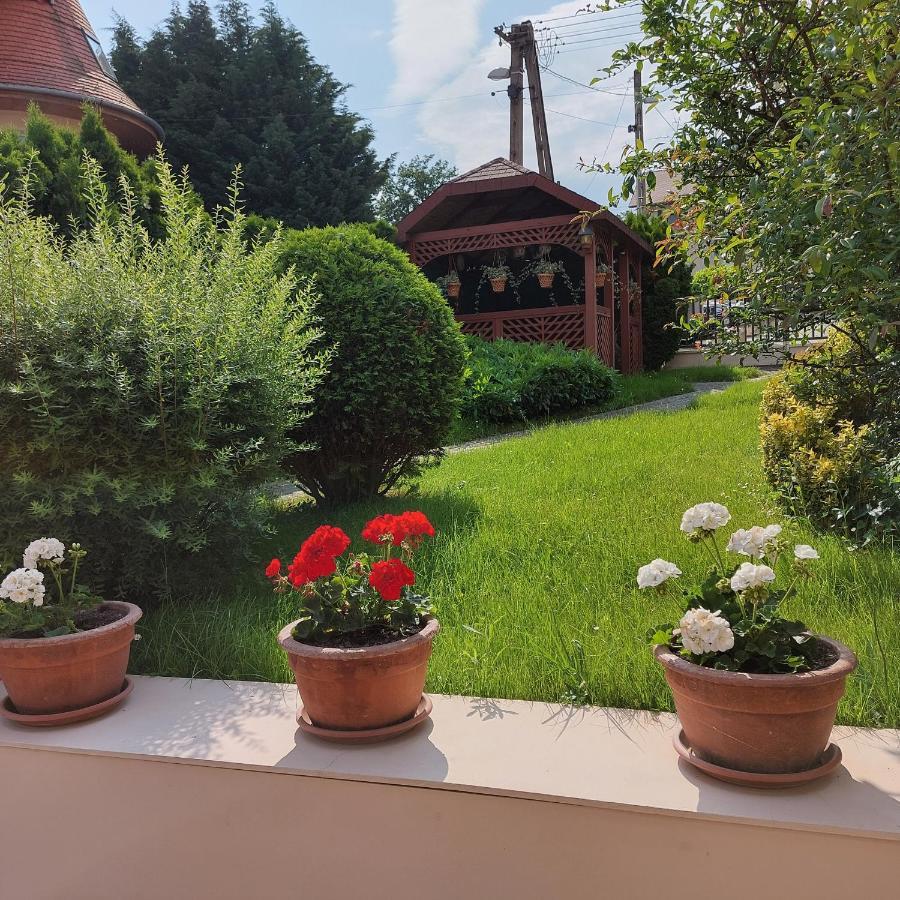 Erika Apartmanházak Heviz Exterior foto